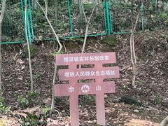 -上海佘山国家森林公园西佘山园