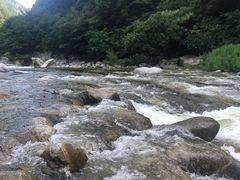 -沣峪口
