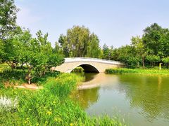 -东郊湿地公园