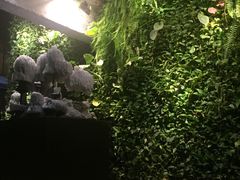 -外婆家(杭州马塍店·杭帮菜名店)