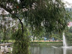 -大埔公路-马料水段香港中文大学(公交站)