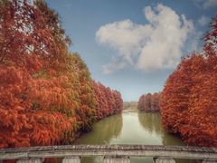 -上海海湾国家森林公园