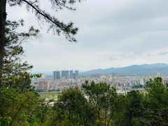 -分塔山省级森林公园