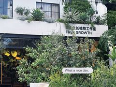 -自由生长植物工作室(深港花卉中心店)