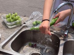 -杨柳青庄园