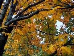 -国家植物园南园