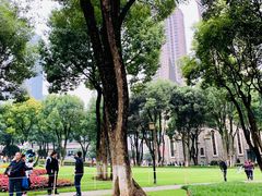 -重庆市江北嘴中央商务区中央公园