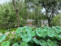 -仙居谷风景区