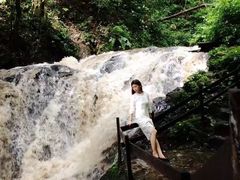-莫里热带雨林景区