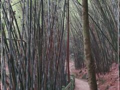 -四会奇石河风景区