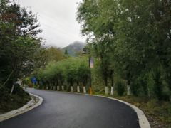 -王顺山国家森林公园