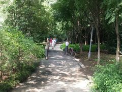 android_upload_pic-高子水居