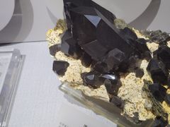 -湖南省地质博物馆