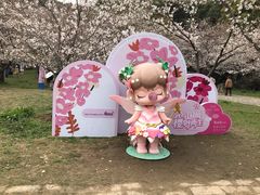 -苏州上方山国家森林公园