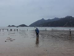 -大京沙滩