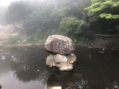 -梧桐山风景名胜区