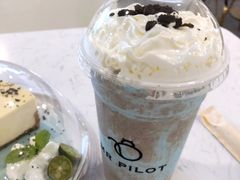 -飞行喵MR PILOT|猫舍·猫咖(静安大融城店)