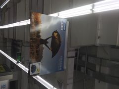 -迪卡侬(赛德店)