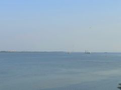 -大湾区中央湿地公园