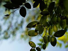 -白鹭湾湿地公园