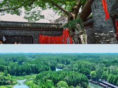 -溱湖国家湿地公园