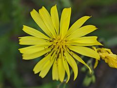 -街角等你.大连海鲜烧烤.经典铁板海鲜串(西安路店)