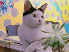 -一品格美术·中考高中成人美术培训