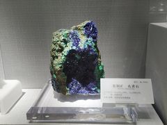 -湖南省地质博物馆