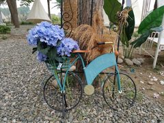 -安德鲁户外烧烤帐篷营地(马泉营店)