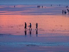 -南汇嘴观海公园