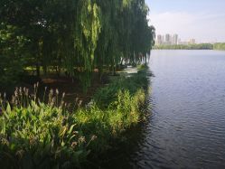 -剑鱼皮划艇俱乐部(石湖基地)