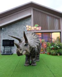 -恐龙探索乐园(磁器口店)