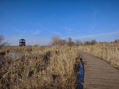 -盐城丹顶鹤湿地生态旅游区