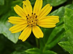 -煲煲掂风味煲仔饭餐厅(西区店)