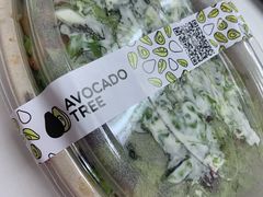 -油梨树 AVOCADO TREE(亮马桥店)