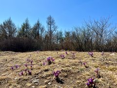 -鹫峰国家森林公园