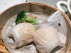 -南枝记