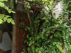 -斯多格书乡(北京大学畅春园店)