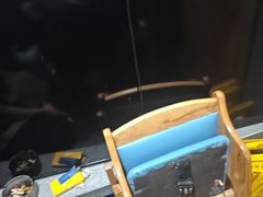 -邢氏老太太烤串(北兴街店)