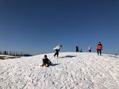 -绿野森林乐园冰雪季