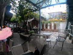 -喵屿·大理花园猫咖