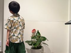 -宋庆龄陵园