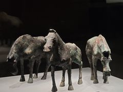 -邯郸市博物馆(新馆)