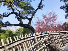 -福道