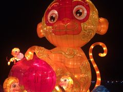 -万绿园