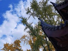 -上海东林寺(金山区)