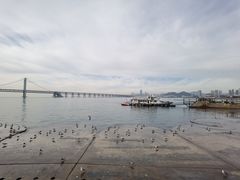 -星海广场