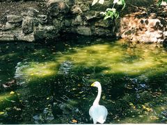 景点-北京动物园