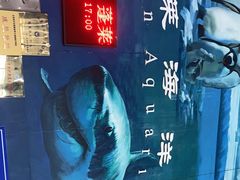 -蓬莱欧乐堡海洋极地世界