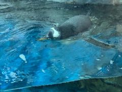 -南昌海洋公园